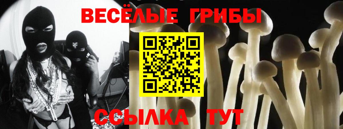 Псилоцибиновые грибы GOLDEN TEACHER  Псилоцибиновые грибы Psilocybe  как найти закладки  Новосибирск  Вход с VPN 